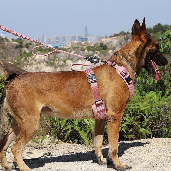 ICEFANG Dog Strap Harness with All-Metal Hardware,for X-Large Sized Dog,K9 Vest,Y-Shape Soft Padding,Adjustable Pet Harness,No-Pull Front Leash Clip (X-Large (Pack of 1), Pink)