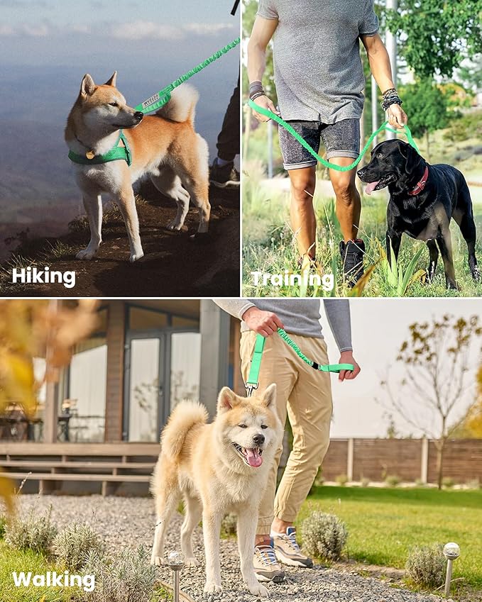 OutdoorMaster Bungee Dog Leash, Heavy Duty Dog Leash with Shock Absorption, 2 Padded Handles Training Leash, Improved Dog Safety and Comfort - Green Upgraded, 6FT