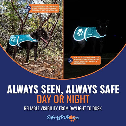 SafetyPUP XD Dog Reflective Vest – Hi-Vis Fluorescent Visibility That Helps to Safeguard Your Pet On/Off Leash in Urban & Rural Areas (Teal, Medium)