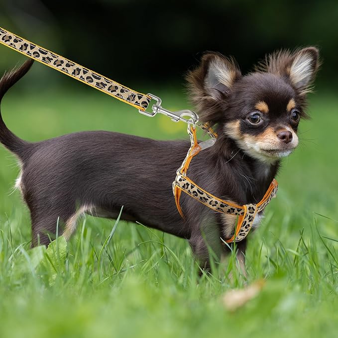 Mile High Life Leopard Dog Harness Collar Leash Set, Adjustable No Pull Dog Halter Harness for Small Breed Dogs, Easy Control for Training Walking (Yellow, M Chest 15"-21", Neck 13"-17")