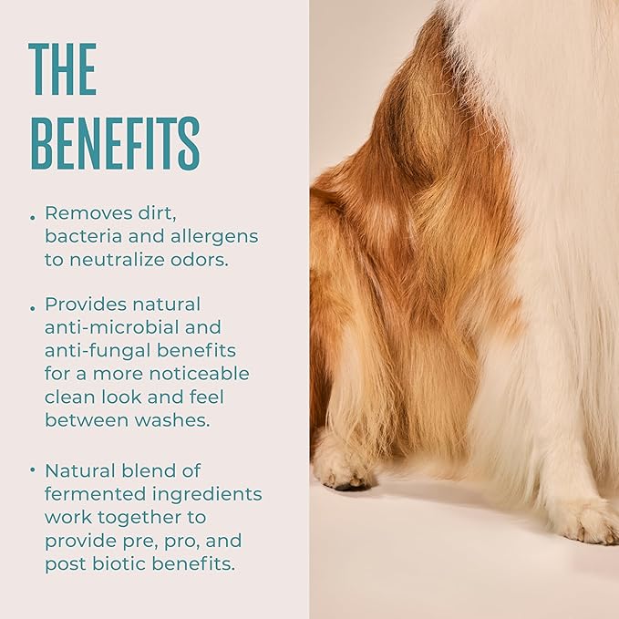 WagWell Daily Cleansing Dog Wipes 50 Count – Vet-Approved, All Natural, Dermatologist Tested, Microbiome-Friendly – Head-to-Tail (Avoid Eye Area), Helps Reduce Odor – No Added Fragrance
