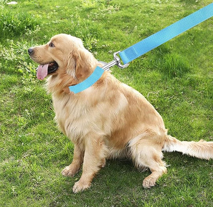 TAIAN 6 FT Strong Dog Leash, Nylon Dog Leashes for Small Medium Large Dogs