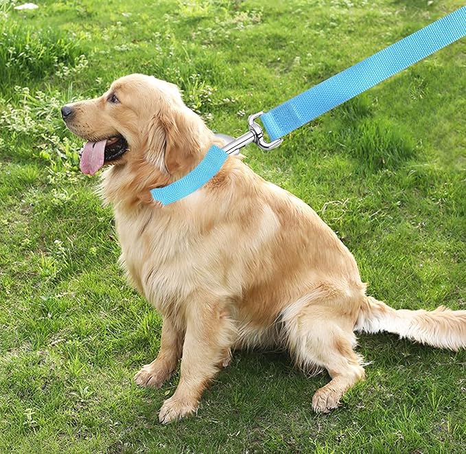 TAIAN 4FT/5FT/6FT Strong Dog Leash, Nylon Dog Leashes for Small Medium Large Dogs (Blue, 1 in x 10 ft)