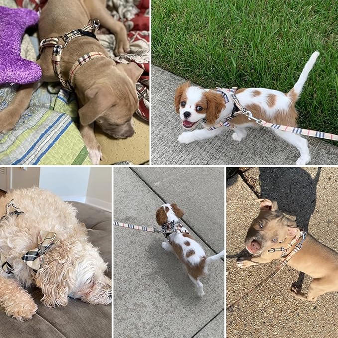 BINGPET Dog Harness Collar Leash Set,Adjustable No Pull Escape Proof Small Dog Harness,Classic Plaid Puppy Harness and Leash Set for Small Medium Large Dogs Training Easy Walk Running(Beige,L)