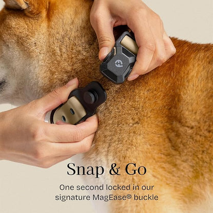 2026 New Edition, Fei & Eve PVC MagEase Dog Collar - Patented Magnetic Buckles | Fur-Safe | 450LB Escape-Proof | Adjustable Fit | Large (Champagne)