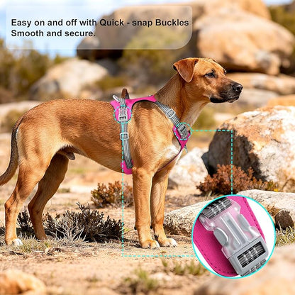 ApakBak No Pull Dog Harness – Adjustable Reflective Nylon Vest for Small Medium Large Dogs, Escape Proof Training Harness with Leather Control Handle, Lightweight Aluminum Hardware (Hot Pink, S)