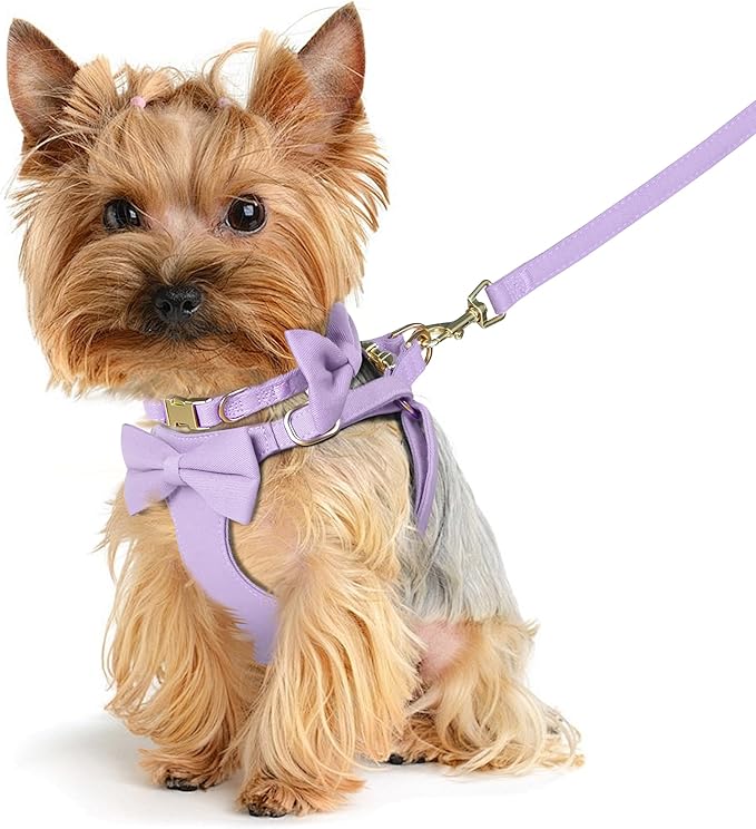 Beirui Adorable Small Dog Harness Collar and Leash Set,Cute XXS Puppy Harness Set with 3 Bows for Tiny Dogs,Chihuahua,Adjustable Step-in Vest for Daily Walking,Parties&Holiday Outfits(Purple,XXS)