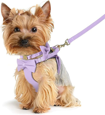 Beirui Adorable Small Dog Harness Collar and Leash Set,Cute XXS Puppy Harness Set with 3 Bows for Tiny Dogs,Chihuahua,Adjustable Step-in Vest for Daily Walking,Parties&Holiday Outfits(Purple,XXS)