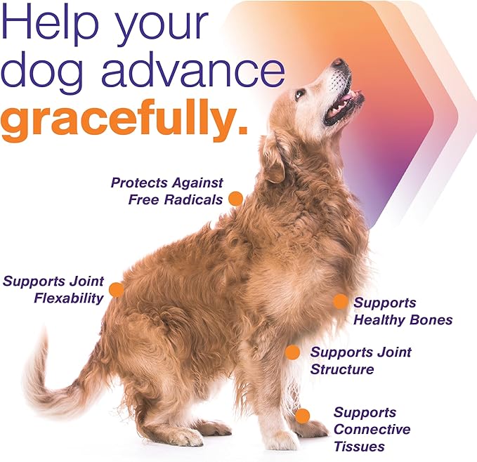 Advanced Soft Chews Hip and Joint Support Supplement for Small Dogs - Movoflex 120 Count by Virbac