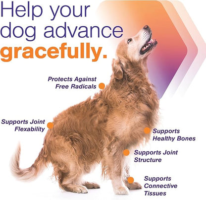 Advanced Soft Chews Hip and Joint Support Supplement for Small Dogs - Movoflex 120 Count by Virbac