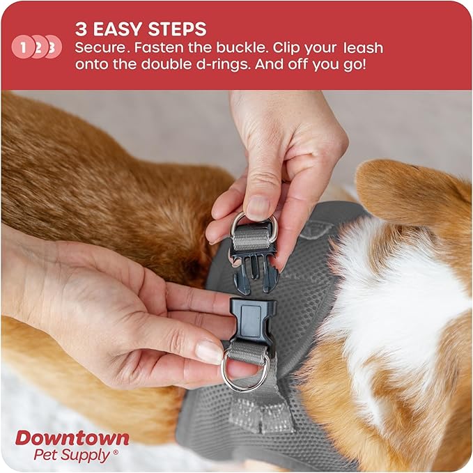 Downtown Pet Supply Step-in Dog Harness – No Pull, Adjustable Padded Mesh with Reflective Trim, Secure Buckle Strap – Comfortable & Breathable Small Dog Harness, Small, Light Gray