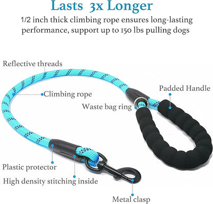 iYoShop Dual Dog Leash - 360° Swivel, No Tangle Walking Leash with Shock Absorbing Bungee for Two Dogs (Medium, 8-35 lbs, Blue)