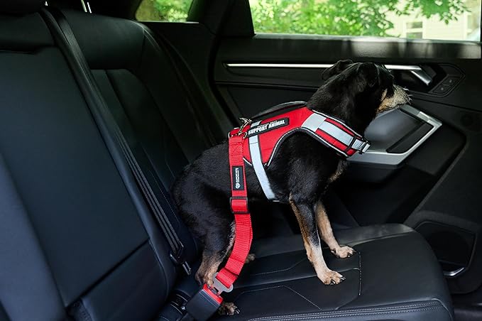Support Pets Dog Seat Belt for Car – Adjustable Dog Safety Seatbelt Harness for Dogs & Puppies – Vehicle Seatbelt Clip for Secure Pet Travel – Durable Dog Accessories & Travel Restraint – Red 1 Pack