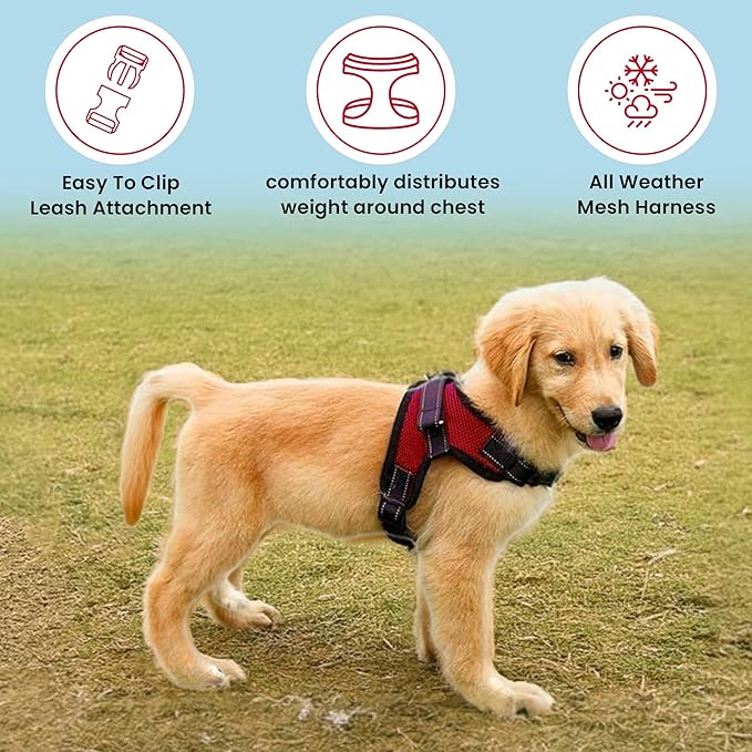 No Pull Reflective Adjustable Dog Harness with Handle- Comfortable Soft All Weather Mesh, Easy On Puppy Harness for Small Medium and Large Dogs (Red) X-Large