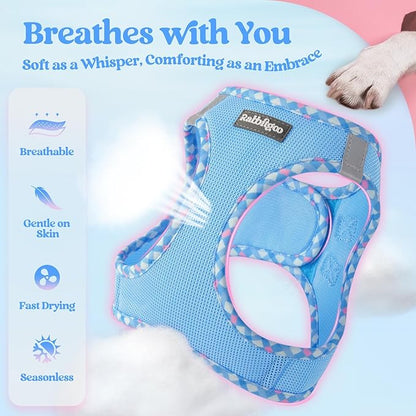 rabbitgoo Dog Harness Small Sized and Leash Set, Step in Soft Light Puppy Vest, Breathable Mesh Pet Harness, Reflective for Safe Easy Walking, Blue & Plaid Trim XXS