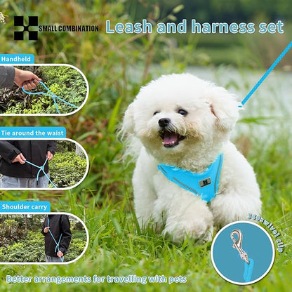 Adjustable Dog Harness with Leash, Reflective Mesh, No-Pull Design，Matching Lead Rope (SkyBlue, XS)