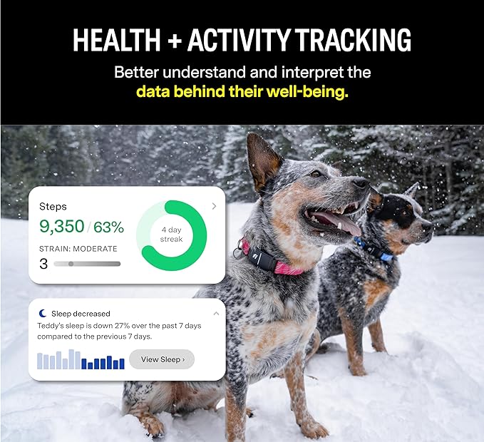 Fi Series 3 Smart Dog Collar - GPS Dog Tracker and Activity & Fitness Monitor, Waterproof, LED Light, Escape Alerts, Nationwide Coverage [Free 1 Year Membership] (Gray, Large)
