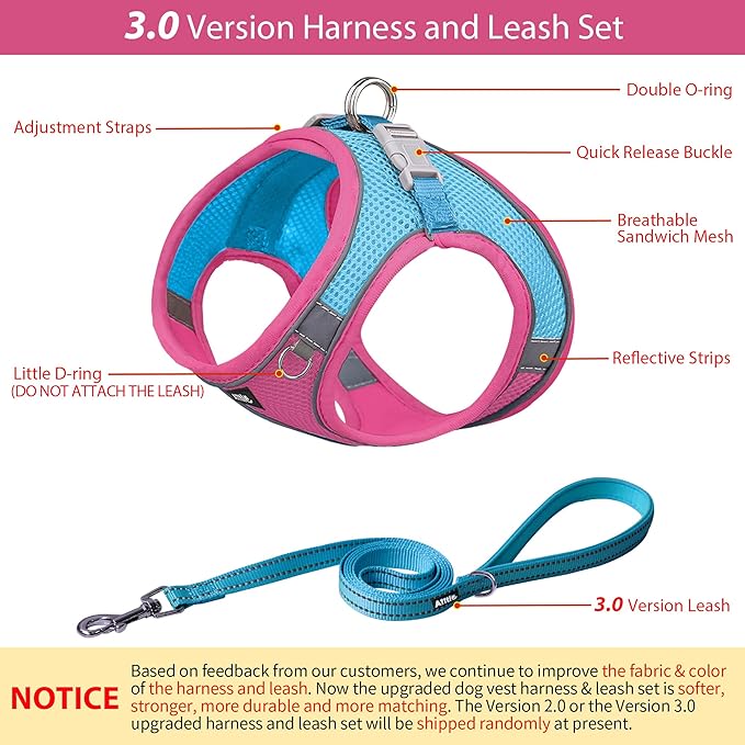 AIITLE Dog Harness, No-Pull Cat Harness with a Leash, Adjustable Reflective Dog Vest, Cat Harness Escape Proof, Outdoor Walking, Running,Training for Extra Small Dogs and House Cats Hot Pink XXXS