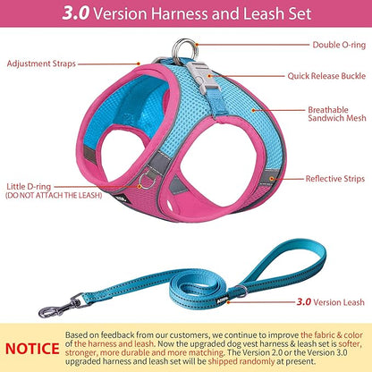 AIITLE Step in Dog Harness and Leash Set - No Pull Escape Proof Vest Harnesses with Soft Mesh and Reflective Bands, Adjustable Pet Outdoor Harnesses for Small and Medium Dogs Hot Pink M