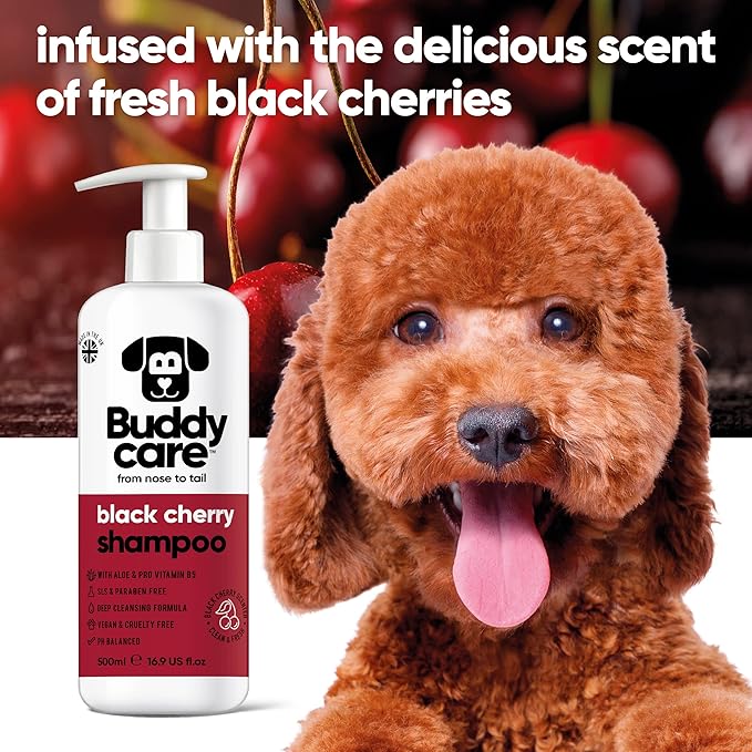 Black Cherry Dog Shampoo by Buddycare | Deep Cleansing Shampoo for Dogs | Black Cherry Scented | with Aloe Vera and Pro Vitamin B5 (50.72oz)