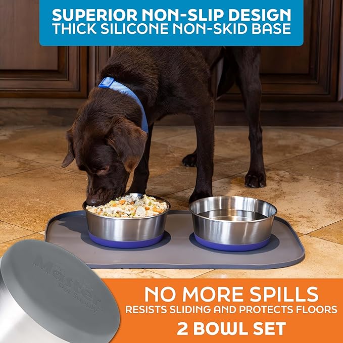 Master Pet Supply Stainless Steel Dog Bowls Set of 2 with Extra Thick Silicone Base - 8 Cup (64 oz) Graphite, Non-Slip, Dishwasher Safe Metal Bowls, Pet Dog Food Bowl for Dogs, Cats, Anti Rust