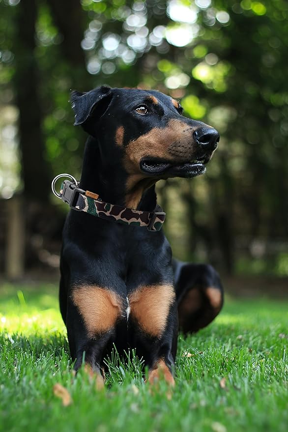 Dog Collar, Cute Camouflage Pattern, Neoprene Padded and Adjustable Collar with Quick Release Buckle, Reinforced Structure (L (Neck 18-28", Width 1"), Camouflage Green)