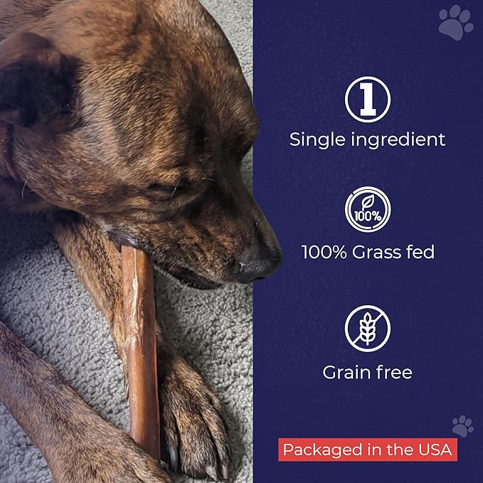 Devil Dog Pet Co. Jumbo Bully Sticks – 6 Inch, 3 Pack Dog Chews, 100% Natural, Single Ingredient, Free-Range Grass-Fed Beef – Long Lasting, Rawhide-Free Treats for Dogs