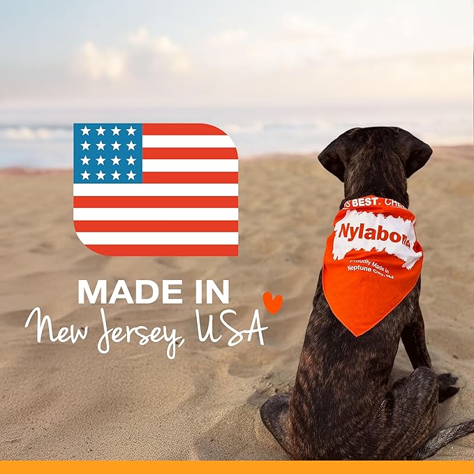 Nylabone Original Bone Power Chew Toy for Dogs, Durable Dog Toys for Aggressive Chewers, Flavor Frenzy Pancakes & Sausage, Roast Beef, & Lasagna, X-Small - Up to 15 lbs, 3 Pack