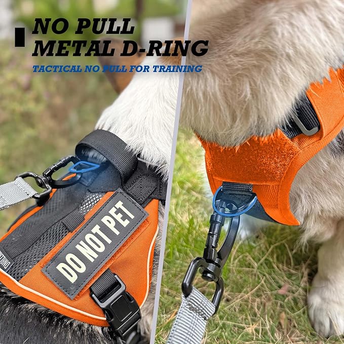 Tactical Dog Harness for Small and Medium Breeds, Air Dog Vest No Pull with Reflective Do Not Pet Patches, Breathable Dog Molle Vests for Training Walking Hunting Orange