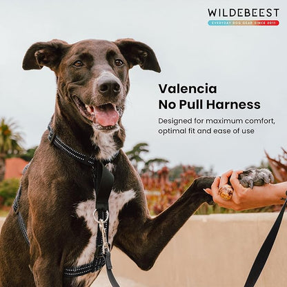 Wildebeest Valencia No Pull Dog Harness | Front and Back Leash Clips | Soft Padded Straps | Lightweight, Adjustable, Easy On/Off for Training and Dog Walking | X-Small Black