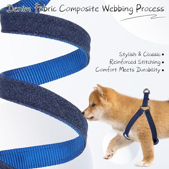 BINGPET Denim Step-in Dog Harness,No Pull Escape-Proof Dog Harness and Leash Set,Adjustable Quick Fit Dog Halter Vests for Small Medium Size Dogs Back Clip Anti-Twist for Easy Walking Training Running