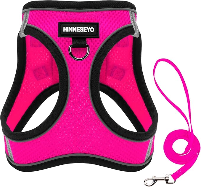 Dog Harness and Leash Set, Dog Harness for Dogs No Pull, No-Chock Step-in Reflective Breathable Lightweight Easy Walk Vest Harnesses with Safety Buckle for Small Medium Dogs, Cats (Rose red, XS)