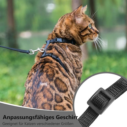 PUPTECK Adjustable Cat Harness and Leash Set Escape Proof Kitten Strap Collar for Walking Travel, Black, M
