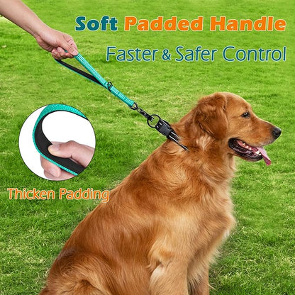 PetBonus Heavy Duty Short Dog Leash, 12 Inch Nylon Traffic Leash with Quick Release Clip, Comfortable Padded Handle, Reflective Training Lead for Medium Large Dogs (Turquoise, 12")
