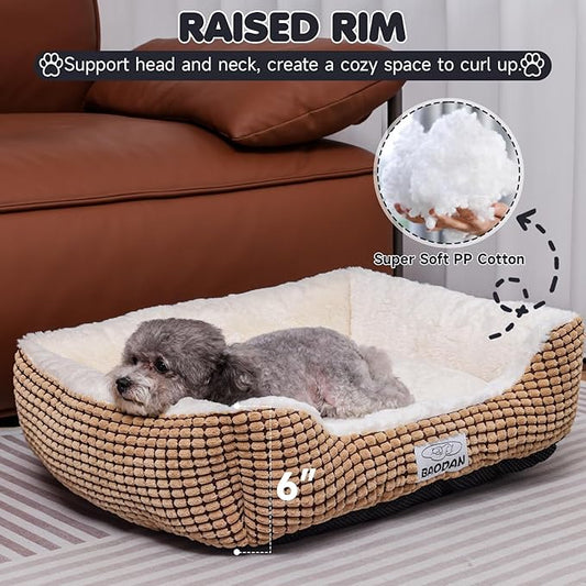 Baodan Small Dog Bed for Small Dogs, Cat Beds for Indoor Cats Washable, Rectangle Dog Bed, Warming Soft Calming Sleeping Puppy Bed Durable Pet Bed with Anti-Slip Bottom (20 inch, Coffee)