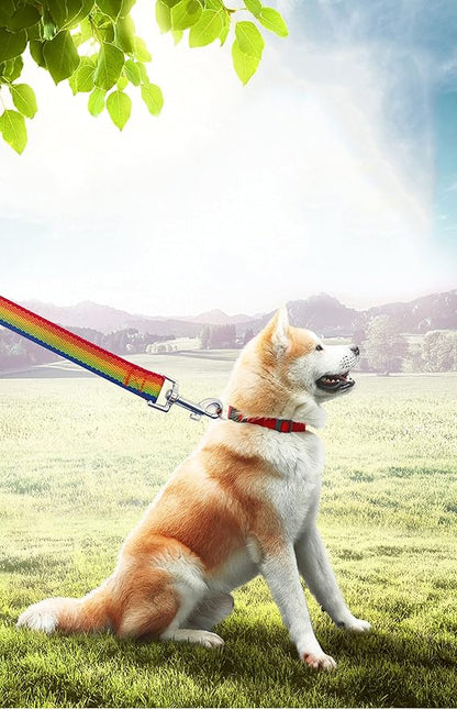PETGOGO 15ft 20ft 30ft 40ft 50ft Long Dog/Puppy Lead Obedience Recall Training Dog Leashes for Small Medium Dogs Camping, Training, Play, or Backyard (Rainbow, 1" x 30FT)