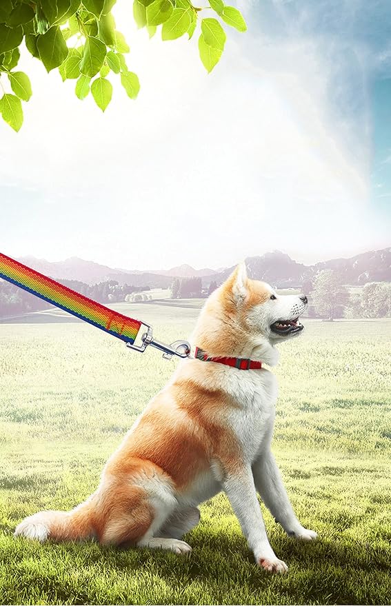 PETGOGO 15ft 20ft 30ft 40ft 50ft Long Dog/Puppy Lead Obedience Recall Training Dog Leashes for Small Medium Dogs Camping, Training, Play, or Backyard (15 FT, Rainbow)