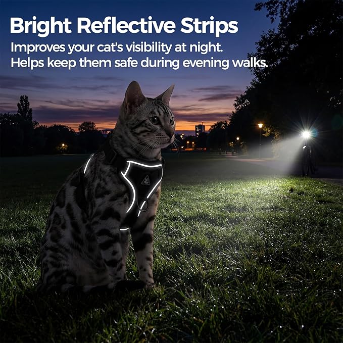 pangdi Cat Harness and Leash Set Escape Proof Tactical Extra Large Kitten Harness Emotional Support Cat Vest, Grey, XXL