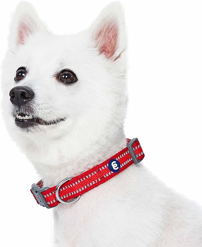 Blueberry Pet Essentials Matching Small Dog Collar | Adjustable Classic Solid Color Nylon Dog Collars for Small Dogs | Reflective Rouge Red Dog Collar for Small Dogs