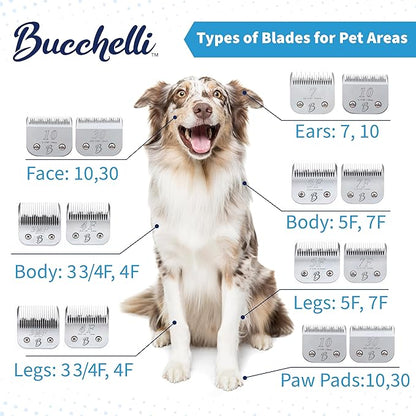 Bucchelli Detachable A Series 5/8 Blade Dog Grooming Cut Length 5/8" - 16mm Ideal for Large Trimming Areas Japanese Carbonized Steel Dog 16mm Replacement Blades | Compatible A5 Series(5/8HT)