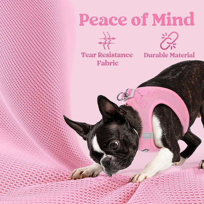rabbitgoo Small Dog Harness, Step-in Soft Mesh Puppy Vest with Safety Buckle, Breathable Reflective Pet Harness for Extra Small Dogs, Light Pink XXXS