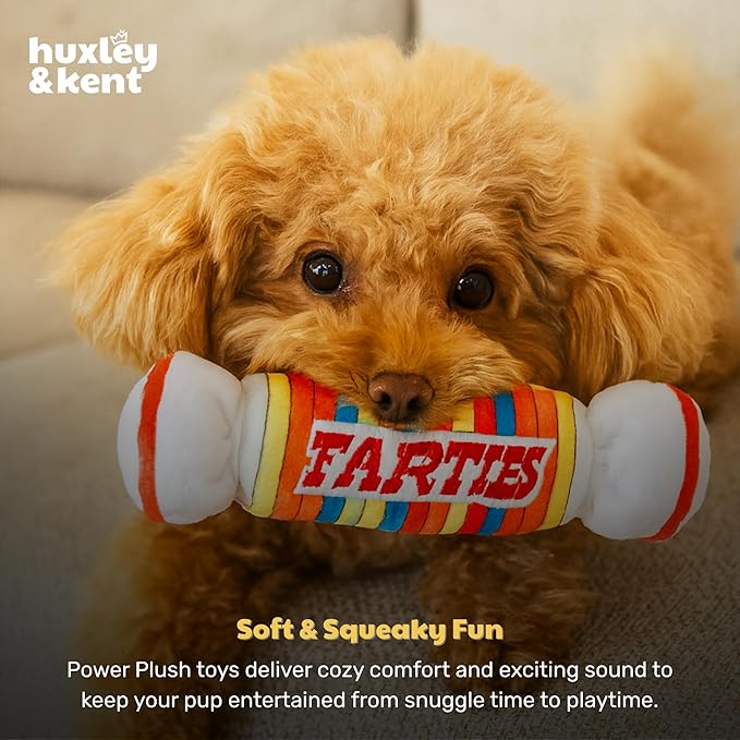 Huxley & Kent Funny Dog Toy w/Squeaker – Power Plush Squeaky Dog Toys for Small Dogs – Durable Small Stuffed Animal for Indoor Play & Fetch - Tiny Tuff Farties