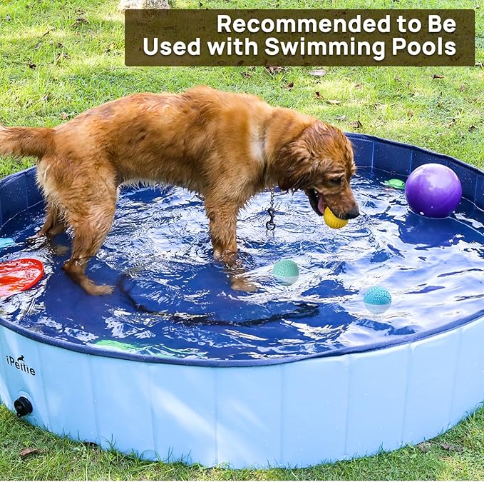 iPettie Summer Floating Dog Ball, Squeaky Water Fetch Toy, Waterproof Rubber Chew Ball, BPA Free, Colorful, 4 Sets, 2.5"
