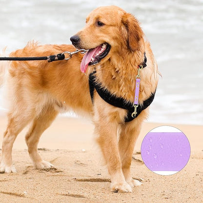 PetBonus Dog Collar Safety Clip, Waterproof Backup Safety Strap for Dog Harness to Prong Collar, Odor Proof Double Ended Clasp Leash Connector for Training Walking (Purple)