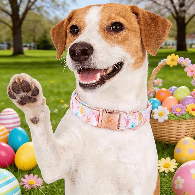 Elegant little tail Easter Dog Collar, Pink Bunny Pattern Floral Spring Pet Collars Gift Holiday Puppy Collars Soft Cotton Adjustable Dog Collar for Small Dogs