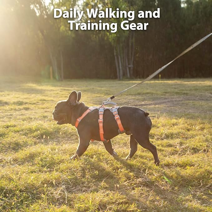 Huntboo No Escape Dog Harness, Escape Proof Harness, Fully Reflective Harness with Padded Handle, Breathable,Durable, Adjustable Vest for Medium Dogs Walking, Training, and Running Gear (Orange,M)
