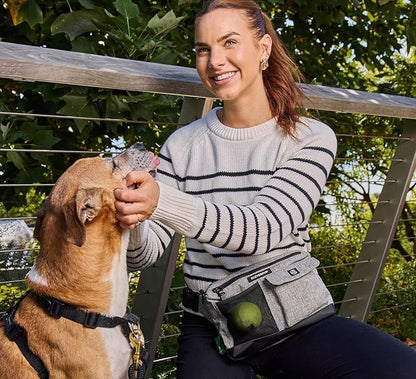 Cleverpup Dog Walk & Train Sling Bag by Cleverpup - Hands-Free 2-In-1 Treat Pouch, Poop Bag Holder, Clicker, Phone Pocket - Crossbody/Fanny Pack, Adjustable Strap - Heather Grey