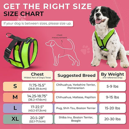 Gooby Comfort X Head in Harness - Green, Small - No Pull Dog Harness with Patented Choke-Free X Frame for Small to Medium Dogs Indoor/Outdoor Use