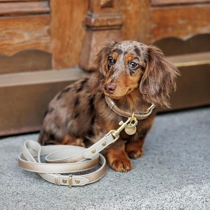 Nina Woof Rio Vegan Leather Dog Leash (4ft) Padded Luxury Lead - Compatible with Collars (Gold)