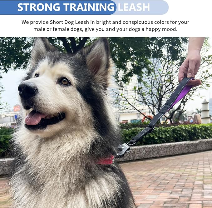 Strong Heavy Duty Dog Leash - Adjustable 15"-18" Reflective Nylon Training Leash with Padded Handle & Frog Clip, Traffic Control for Large Medium Dogs, No Pull Walking Black Purple
